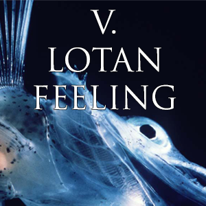 V. Lotan Feeling