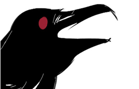 custom banner