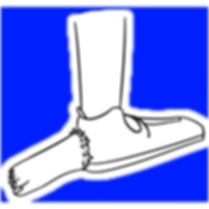 shoe