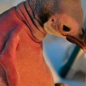 I'm so Sorry I'm so Sorry I'm so sorry