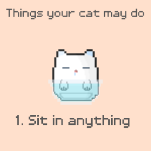 Things Your Cat May Do