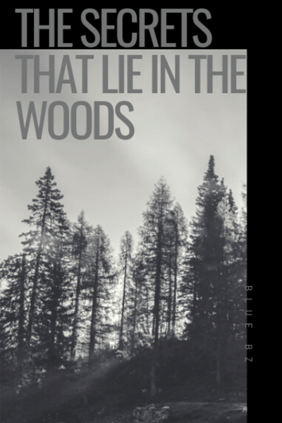 The Secrets That Lies In The Woods