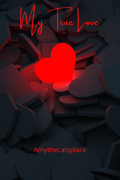 My True Love (My Gay Roommate Spinoff) 