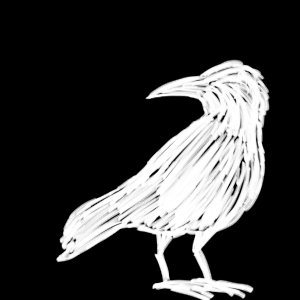 Atr&aacute;s da cortina