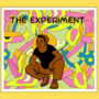 The Experiment 