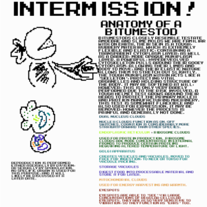 Intermission 1