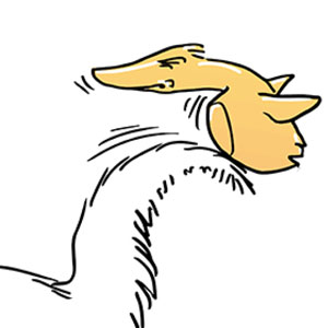 Side Effects of Socializing