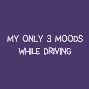 Driving with Bee