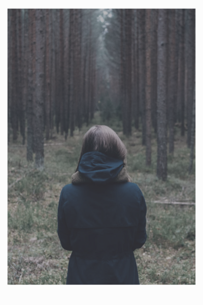 Le voyageur du m&eacute;tavers