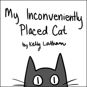 Inconvenient Cat