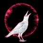PLUMAS, EXTRA: el cuervo blanco 