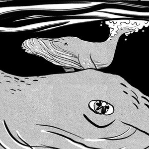 Não me diz respeito1