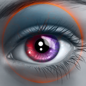 Chapter 19: Shadows and Visions