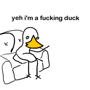 Squat Duck