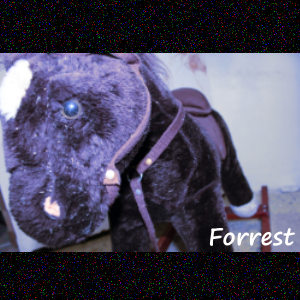 Lumps #3: Forrest