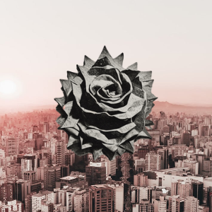 16 | DON'T MIND WHAT?!