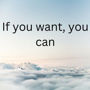 If you want, you can
