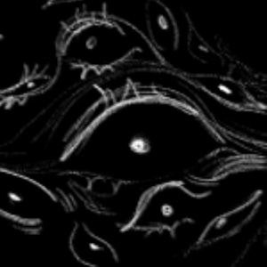 CHAPTER 0 "Fool"