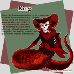 Chapter Eight: Coral and King (The Fell brothers) (pt. 2) 