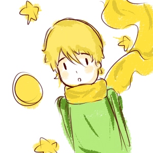 The little prince ( school project )