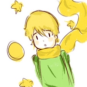 The little prince ( school project )