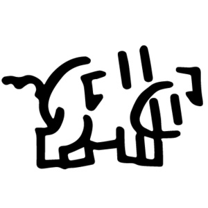 Daily life of a Pig pig