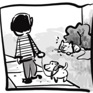 BARKBARKBARKBARKBARK