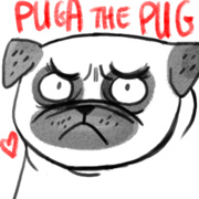 Puga the pug