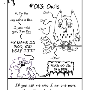 #013: Owls