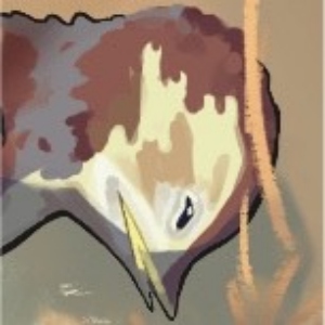 Prologue: Running Bird