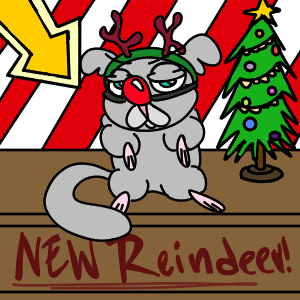 Chimi the Nocturnal Chinchilla 