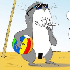 Beach boys