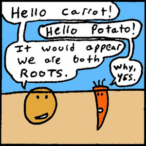 Carrot and Potato: Sound of the Underground