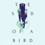 The Shadow Of A Bird