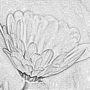 "Um pedido de socorro de um planeta descartado!!" 