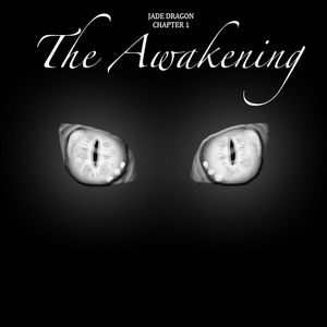 Chapter 1 - The Awakening 