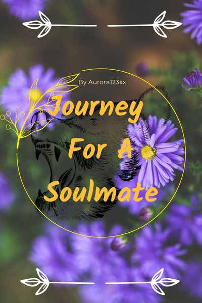 Journey For a Soulmate