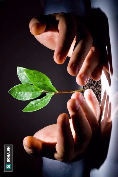 Vòng luân hồi của hai người