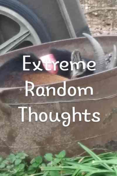 Extreme Random Thoughts