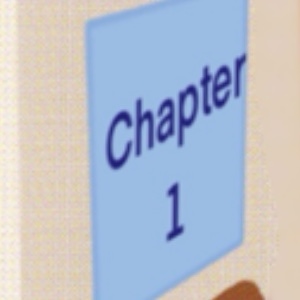 Chapter 1