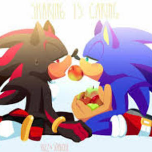 Sonic x Shadow