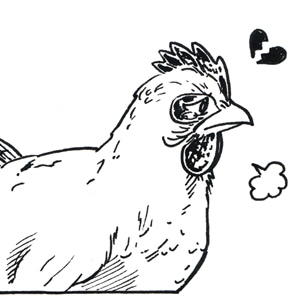 Roosters (italian biscuits)