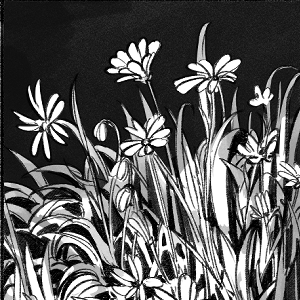 The Blackbird and Cricket