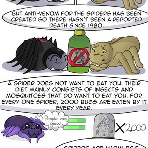 The Truth About spiders.