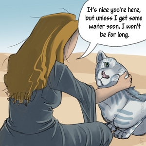 The Golden Troupe: Thank You