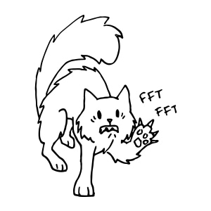 If Humans Acted Like Animals: Cats