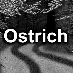 01 – Ostrich