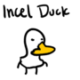 Incel Duck