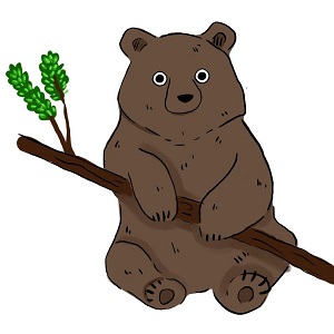 Bear trouble
