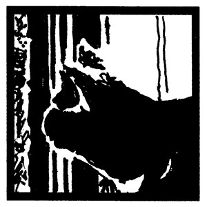 A Life of Early Nights